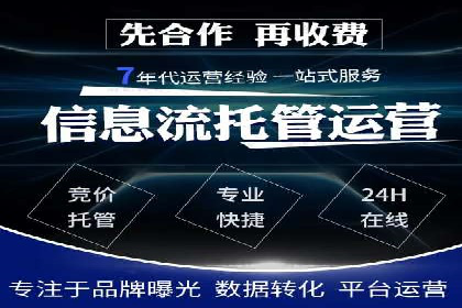 百度竞价推广运营实战技巧与经典案例剖析